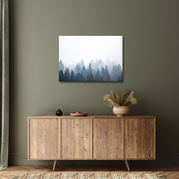 Obraz - Mglisty las (70x50 cm)