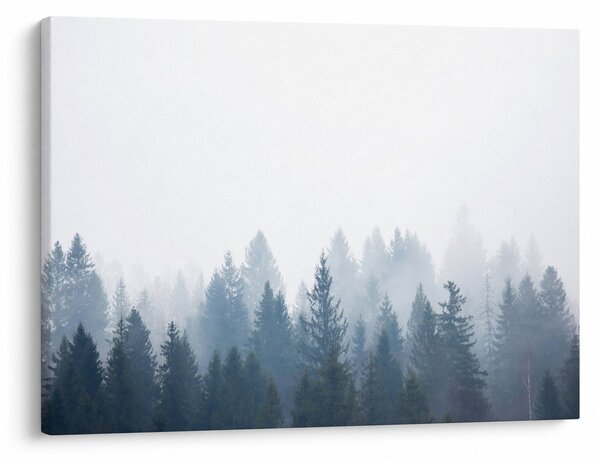 Obraz - Mglisty las (70x50 cm)