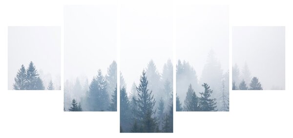 Obraz - Mglisty las (125x70 cm)