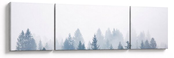 Obraz - Mglisty las (170x50 cm)