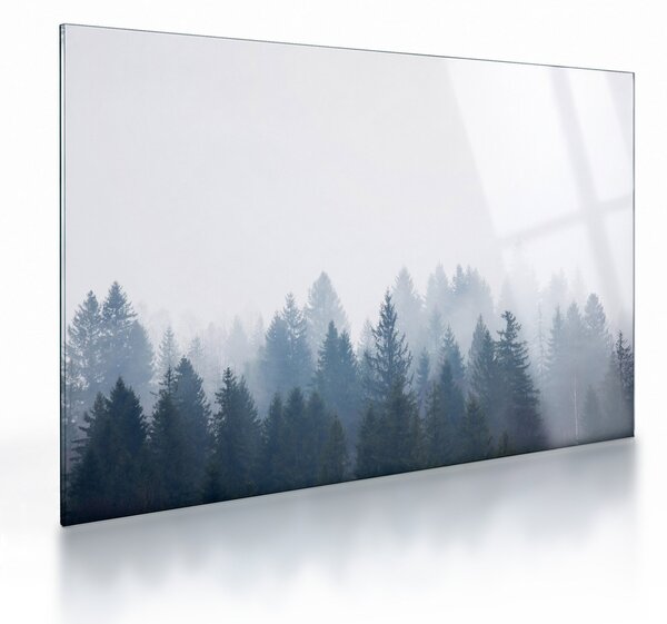Obraz na szkle - Mglisty las (70x50 cm)
