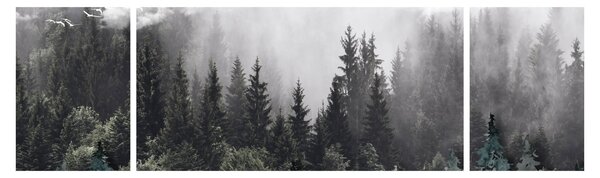 Obraz - Las z ilustrowanymi elementami (170x50 cm)
