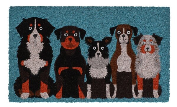 Wycieraczka z włókna kokosowego 45x75 cm – Esschert Design