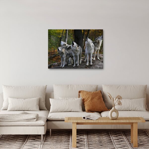 Obraz - Wilki na skale (70x50 cm)
