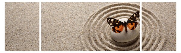 Obraz - Ogród zen (170x50 cm)