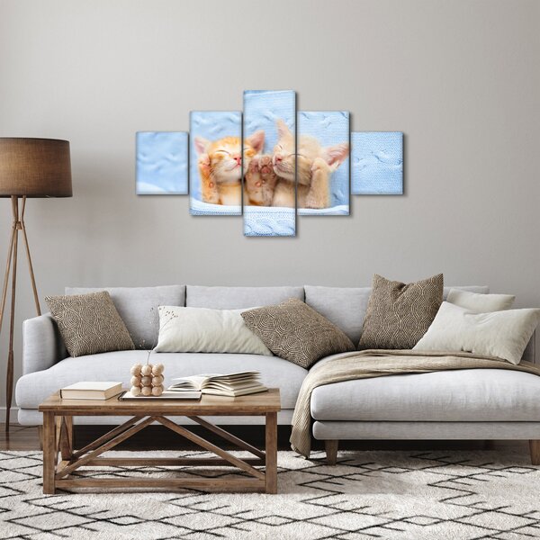 Obraz - Śpiące kocięta (125x70 cm)