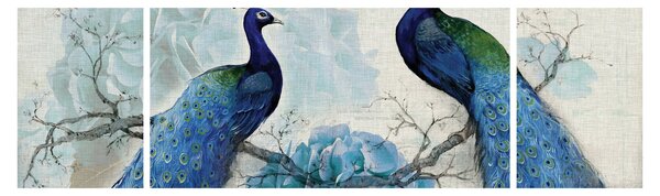Obraz - Pawie tekstury (170x50 cm)