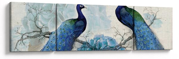 Obraz - Pawie tekstury (170x50 cm)