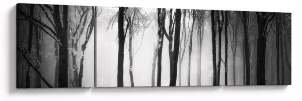 Obraz - Wilk w ciemnym lesie (170x50 cm)