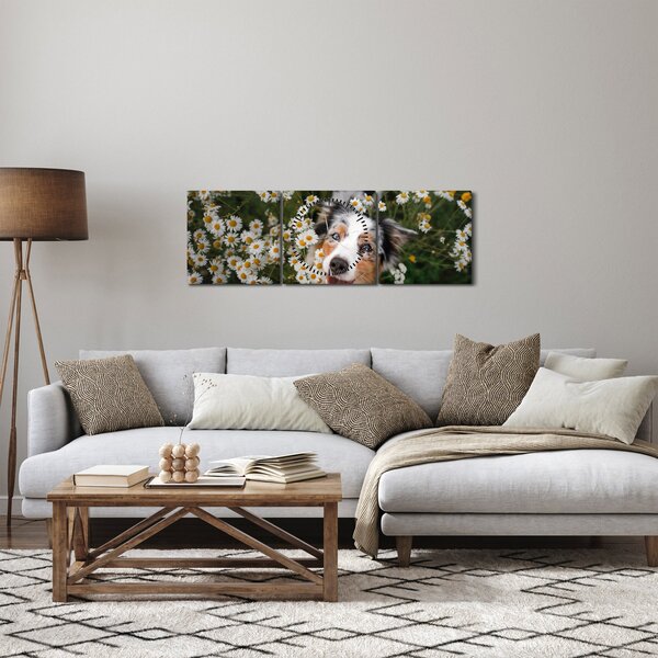 Obraz - Owczarek australijski (z zegarem) (90x30 cm)