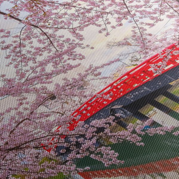 Obraz - Hirosaki, Japonia (125x70 cm)