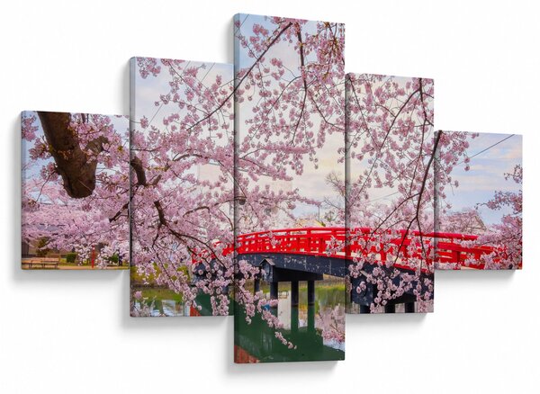 Obraz - Hirosaki, Japonia (125x70 cm)