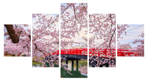Obraz - Hirosaki, Japonia (125x70 cm)