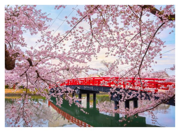 Obraz - Hirosaki, Japonia (70x50 cm)