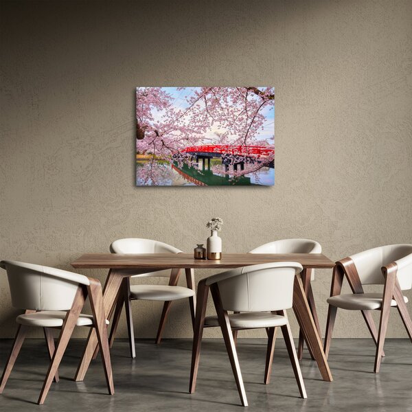 Obraz - Hirosaki, Japonia (70x50 cm)