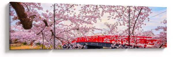 Obraz - Hirosaki, Japonia (170x50 cm)