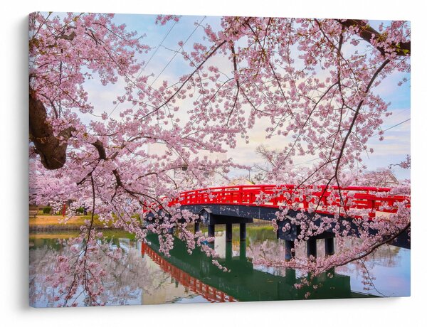 Obraz - Hirosaki, Japonia (70x50 cm)