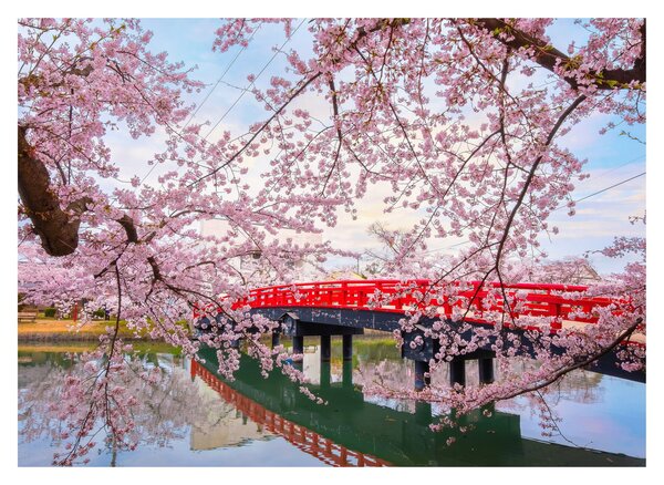 Obraz na szkle - Hirosaki, Japonia (70x50 cm)