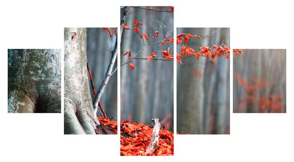 Obraz - Jesień (125x70 cm)