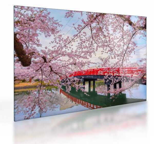 Obraz na szkle - Hirosaki, Japonia (70x50 cm)