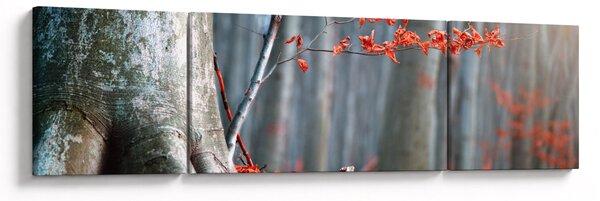 Obraz - Jesień (170x50 cm)