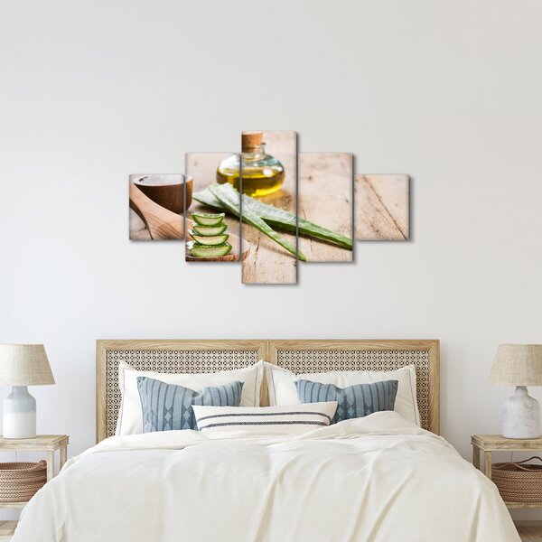 Obraz - Aloes (125x70 cm)