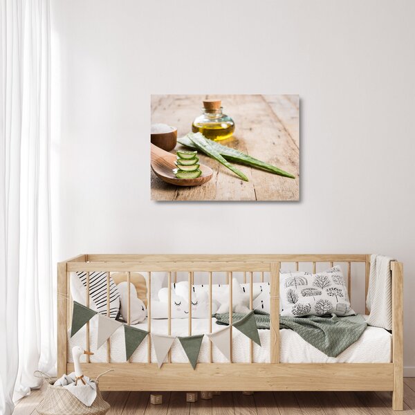 Obraz na szkle - Aloes (70x50 cm)