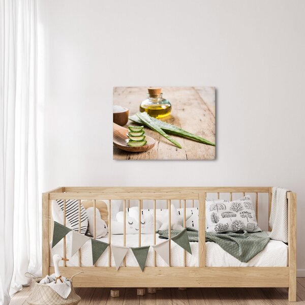 Obraz - Aloes (70x50 cm)