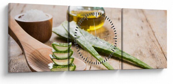 Obraz - Aloes (z zegarem) (90x30 cm)