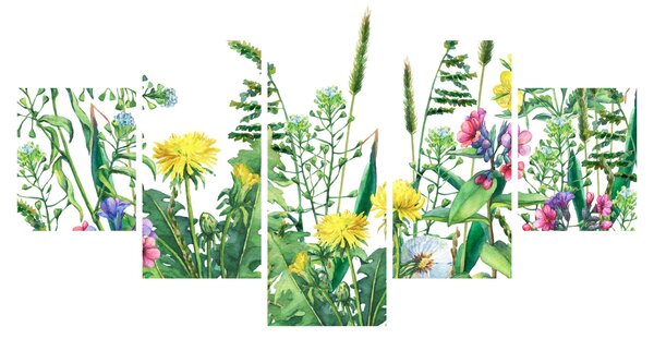 Obraz - Malowane kwiaty łąkowe (125x70 cm)