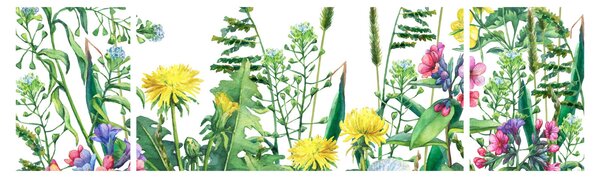 Obraz - Malowane kwiaty łąkowe (170x50 cm)