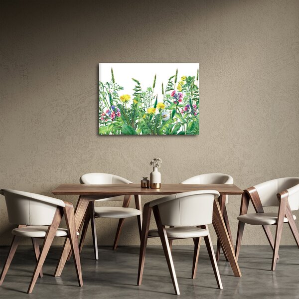 Obraz - Malowane kwiaty łąkowe (70x50 cm)