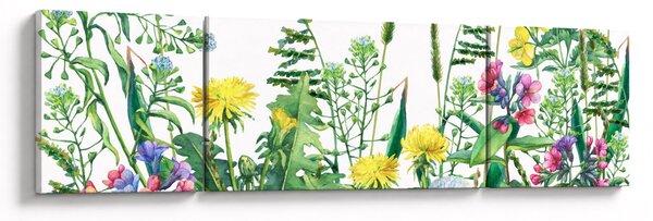 Obraz - Malowane kwiaty łąkowe (170x50 cm)