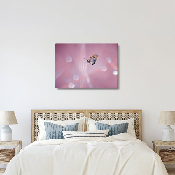 Obraz - Motyl (70x50 cm)