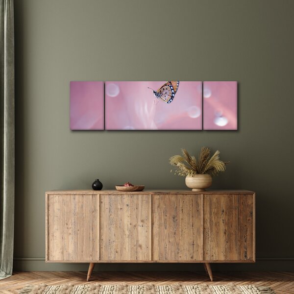 Obraz - Motyl (170x50 cm)