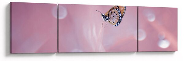 Obraz - Motyl (170x50 cm)