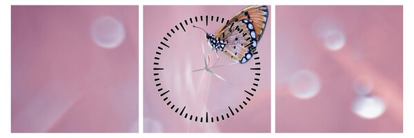 Obraz - Motyl (z zegarem) (90x30 cm)