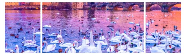 Obraz - Praga (170x50 cm)
