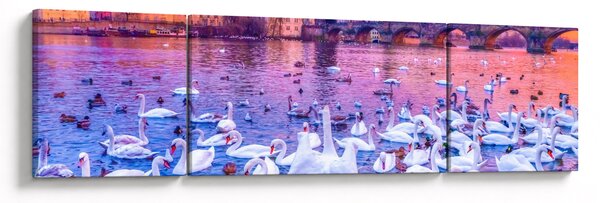 Obraz - Praga (170x50 cm)