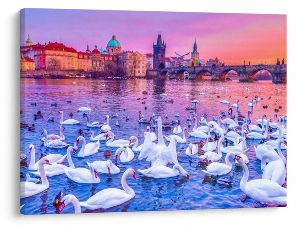 Obraz - Praga (70x50 cm)