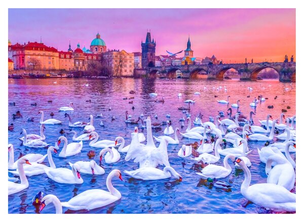 Obraz - Praga (70x50 cm)