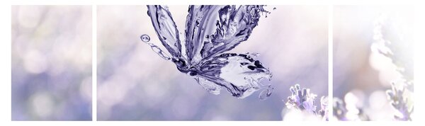 Obraz - Motyl i lawenda (170x50 cm)