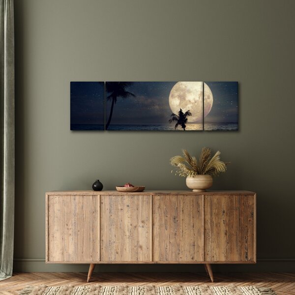 Obraz - Plaża przy pełni księżyca (170x50 cm)