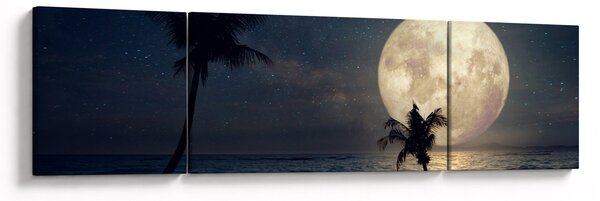 Obraz - Plaża przy pełni księżyca (170x50 cm)