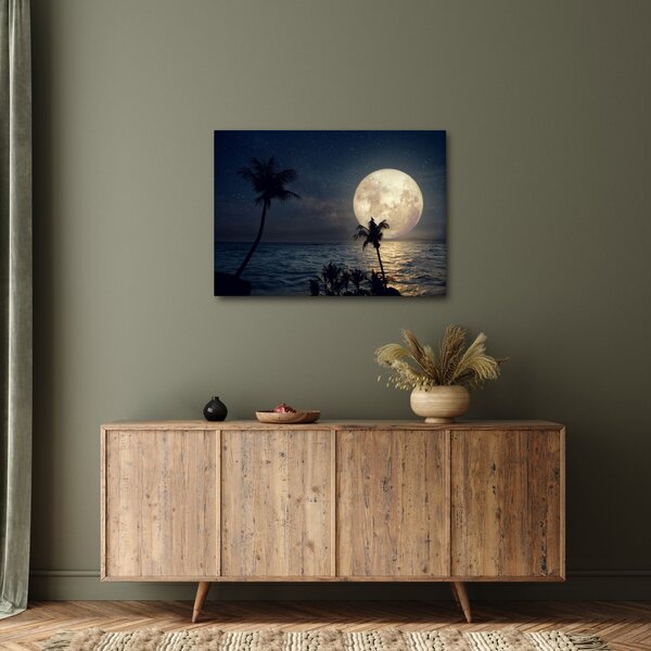 Obraz - Plaża przy pełni księżyca (70x50 cm)