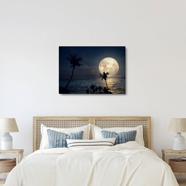 Obraz - Plaża przy pełni księżyca (70x50 cm)