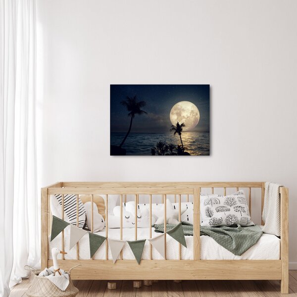 Obraz - Plaża przy pełni księżyca (70x50 cm)
