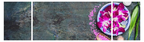 Obraz - Wellness (170x50 cm)