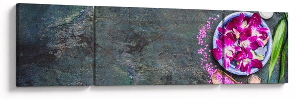 Obraz - Wellness (170x50 cm)