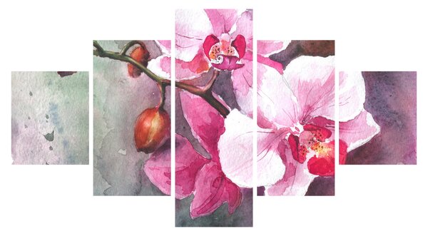 Obraz - Orchidee, akwarela (125x70 cm)
